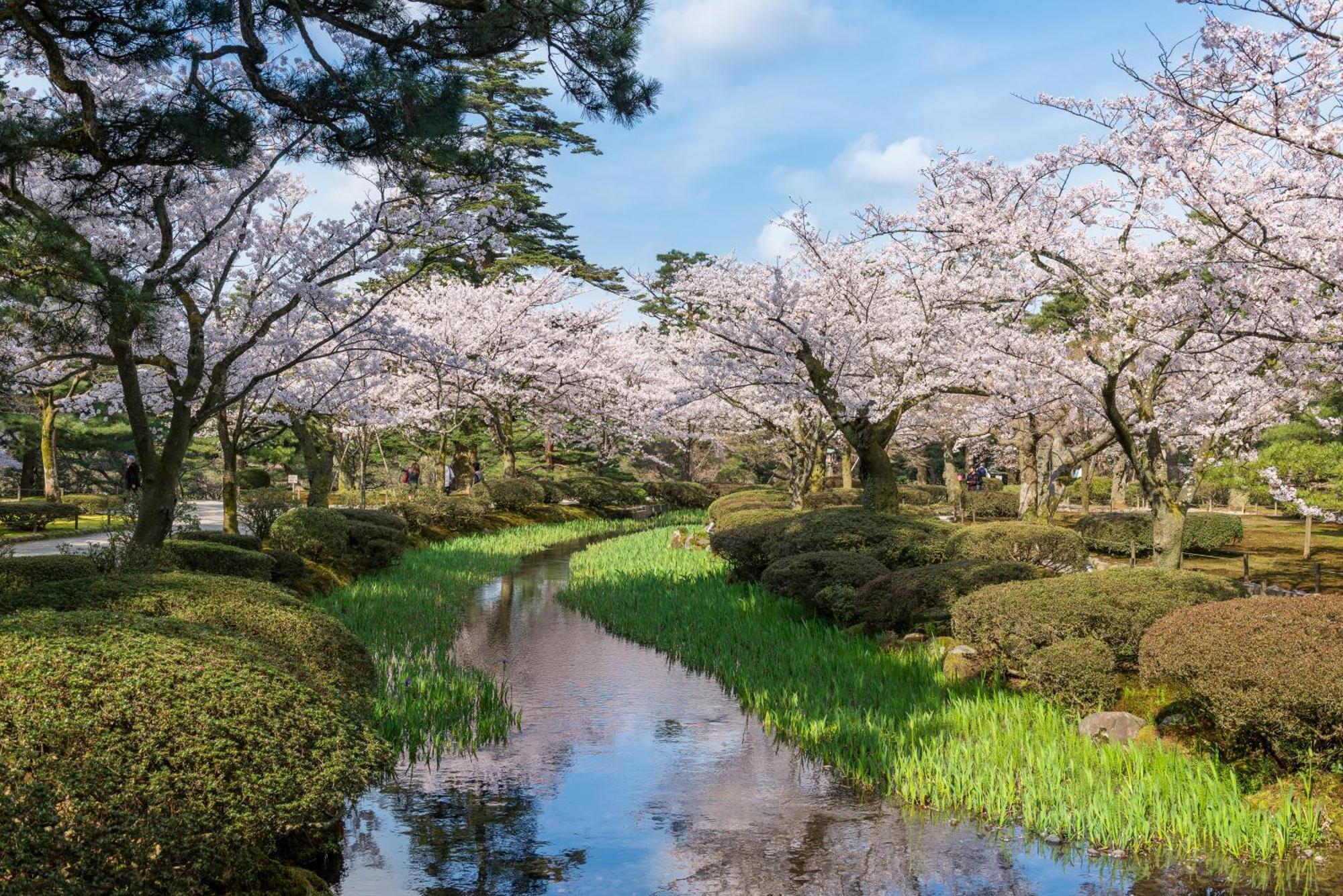 Tokyu Stay Kanazawa Luaran gambar