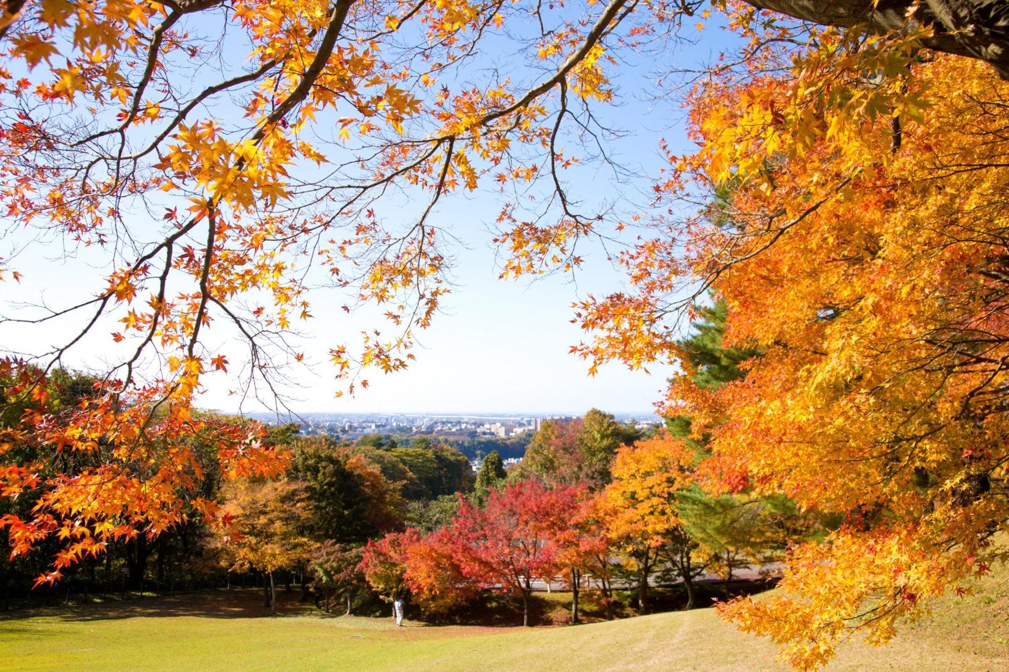 Tokyu Stay Kanazawa Luaran gambar